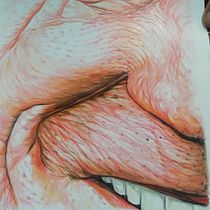 My project in Realistic Portrait with Coloured Pencils course. Drawing project by José Antonio Hinojosa Castro - 02.19.2021