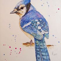 Artistic Watercolor Techniques for Illustrating Birds final project - Blue Jay. Watercolor Painting project by Rachael Fletcher - 02.07.2021