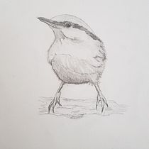 My project in Artistic Watercolor Techniques for Illustrating Birds course. Watercolor Painting project by teresecooke - 02.07.2021
