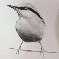 My project in Artistic Watercolor Techniques for Illustrating Birds course. Watercolor Painting project by fionawill - 02.07.2021