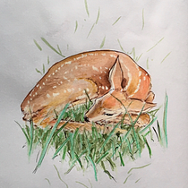 Mi Proyecto del curso: Técnicas de ilustración para desbloquear tu creatividad. Traditional illustration project by Mauro Fariñas - 02.07.2021