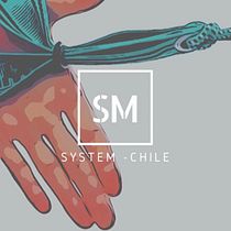 Mi Proyecto del curso: Estrategias de Instagram para desarrollo de marcas. Education project by Carolina Castro Jorquera - 02.07.2021