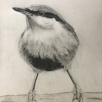 My Project in Artistic Watercolor Techniques for Illustrating Birds course . Artistic Drawing project by John Knapton - 02.07.2021