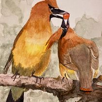 Cedar waxwing pair stripping berries from my tree and feeding each other. . Een project van Aquarelschilderen van bjschultze - 08.02.2021