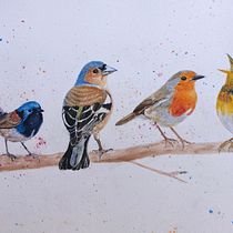 My project in Artistic Watercolor Techniques for Illustrating Birds course. Watercolor Painting project by Fiona - 02.09.2021