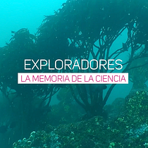 Mi Proyecto del curso: Storytelling audiovisual para redes sociales. Social Media project by Alexandra Osman - 01.08.2021