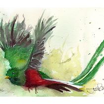 Painting birds......a wonderful new experience!. Watercolor Painting project by Juan De la Pena - 02.09.2021