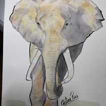 Mi Proyecto del curso: Elefante, pájaro y mariposa. Drawing project by ruizperez_cristina - 03.01.2021