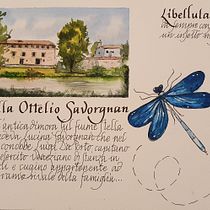 My project in Watercolor Travel Journal course. Ilustração tradicional, e Esboçado projeto de ezio-patrizia - 09.02.2021