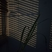 Hasta que los segundos dejen de pasar.. Cinema, Vídeo e TV, Escrita, Cinema, Realização audiovisual, Roteiro, e Narrativa projeto de 00 ´´ - 10.02.2021