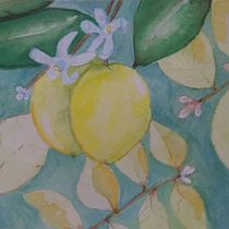 Limonero  Ein Projekt aus dem Bereich Naturalistische Illustration von Nuria Gómez Miguel - 04.03.2021