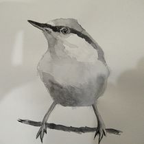 My project in Artistic Watercolor Techniques for Illustrating Birds course. Watercolor Painting project by Julia C - 02.23.2021