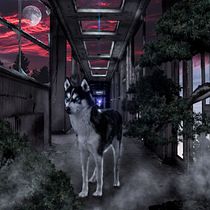 My project in Secrets of Photomontage and Creative Retouching course. Photographic Composition project by yhfahmy - 02.12.2021