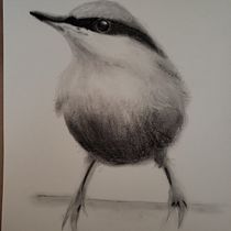 I need a better eraser to lift off the extra heavy shading.. Watercolor Painting project by pchance - 02.12.2021