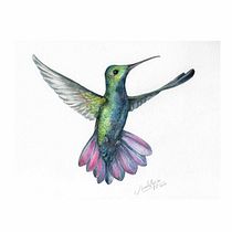 Mi Proyecto del curso: Ilustración naturalista de aves con acuarela. Een project van Traditionele illustratie y Aquarelschilderen van Natalia Eggui - 13.02.2021