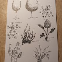 My project in Drawing for Beginners Level -1 course. Traditional illustration project by Alina Kramarenko - 02.13.2021