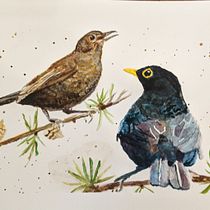 My project in Artistic Watercolor Techniques for Illustrating Birds course. Watercolor Painting project by Deborah Clark - 02.13.2021