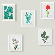 Mi Proyecto del curso: Cuaderno botánico en acuarela. Projekt z dziedziny R, sunek ołówkiem, R, sunek botaniczn i Malowanie akwarelą użytkownika Patricia Calzado Sierra - 13.02.2021