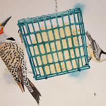 Lunchtime for Northern Flicker and Nuthatch. Watercolor Painting project by karadjones - 02.22.2021