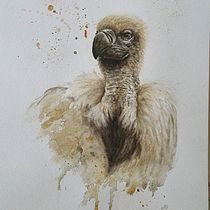 My project in Artistic Watercolor Techniques for Illustrating Birds course. Watercolor Painting, Traditional illustration, Realistic Drawing, and Naturalistic Illustration project by hmaria68 - 03.14.2021