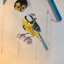 Coursework Artistic Watercolour Techniques for Illustrating Birds . Drawing, and Watercolor Painting project by Lesley Hodgson - 03.23.2021