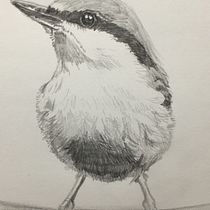 My project in Artistic Watercolor Techniques for Illustrating Birds course ha. Watercolor Painting project by louise.pickford159 - 02.14.2021