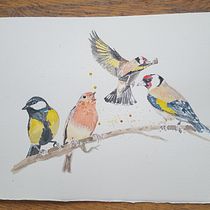 My project in Artistic Watercolor Techniques for Illustrating Birds course. Watercolor Painting project by lesleyolly - 02.15.2021