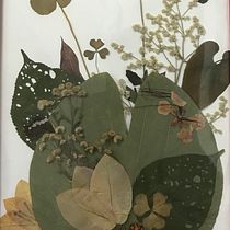Mi Proyecto del curso: Técnicas básicas de prensado botánico. Arts, Crafts, Fine Arts, Collage, DIY, Floral, and Plant Design project by Socorro Loáisiga - 11.09.2021