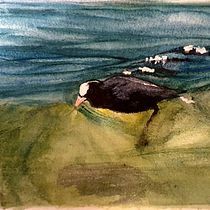 My project in Illustrating Nature: A Creative Exploration course. Traditional illustration project by Didier Van Impe - 02.17.2021