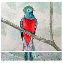 Mi Proyecto del curso: Acuarela artística para ilustración de aves. Naturalistic Illustration, and Watercolor Painting project by Raquel Ruiz Pérez - 02.17.2021