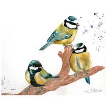 Mi Proyecto del curso: Acuarela artística para ilustración de aves. Pencil Drawing, Artistic Drawing, Traditional illustration, and Watercolor Painting project by Natalia Eggui - 02.17.2021
