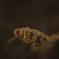 Walking with perspective. Digital Photograph, and Outdoor Photograph project by Frank Pricone - 02.17.2021