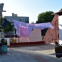 Mi Proyecto del curso: Guía práctica para aprender a manejar tu cámara digital desde cero. Un projet de Photographie de Angelica Acuña - 18.02.2021