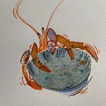 Up close and personal with hermit crabs. Artistic Drawing, Collage, Traditional illustration, and Watercolor Painting project by Lindsay Redinger - 02.18.2021