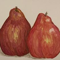 My project in Illustrating Nature: Illustrating Pears. Traditional illustration project by Kate Malinowski - 02.19.2021