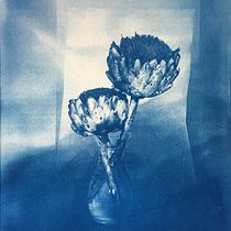 Alcachofas. Fine-Art Photograph project by Javier Molina - 02.19.2021