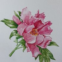 Mi Proyecto del curso: Ilustración botánica con acuarela. Pintura em aquarela projeto de Marie de Smet - 20.02.2021