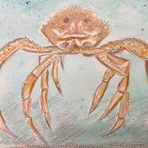 My project in Illustrating Nature: A Creative Exploration course. Naturalistic Illustration project by amanda - 02.21.2021