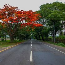Cuaderno de viaje. Fine Arts, and Watercolor Painting project by Elizabeth Rodríguez - 02.21.2021