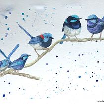 My fariy wrens project using your techniques for #birdsindecember. Watercolor Painting project by michelle_taylor - 02.22.2021