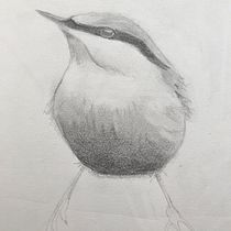 My project in Artistic Watercolor Techniques for Illustrating Birds course. Watercolor Painting project by lynnejaneandstewart - 02.22.2021