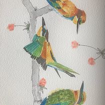 My project in Artistic Watercolor Techniques for Illustrating Birds course. Drawing, and Watercolor Painting project by chahal.jen - 03.21.2021
