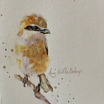 My project in Artistic Watercolor Techniques for Illustrating Birds course. Watercolor Painting project by Amy Be;nap - 02.23.2021