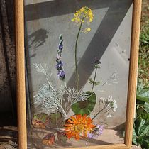 Mi Proyecto del curso: Técnicas básicas de prensado botánico "2 Soles". Fine Arts, and Botanical Illustration project by Sofía Moreno Domínguez - 02.23.2021
