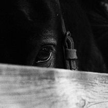 Mi Proyecto del curso: A paso lento.. Un projet de Photographie numérique, Photographie extérieure , et Photographie de María Cecilia Jacquet Estigarribia - 24.02.2021