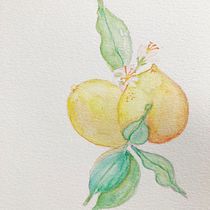 Meu projeto do curso: Aquarela botânica: ilustre a anatomia das flores. Fine Arts project by Rahel - 02.24.2021