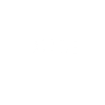 DUSE. Br, ing & Identit project by Hadi Ul Hassan Syed - 10.24.2020