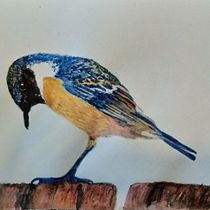 Mein Kursprojekt: Illustriere Vögel mit expressiven Aquarelltechniken. Watercolor Painting project by Horst Drescher - 02.25.2021