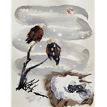 My project in Illustrating Nature: Exploring the Bald Eagle. Traditional illustration, Naturalistic Illustration, and Watercolor Painting project by Sandy H - 02.25.2021
