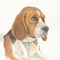 My project in Experimental Watercolor Techniques for Beginners course. Traditional illustration, and Watercolor Painting project by Davide Santarsiere - 02.25.2021